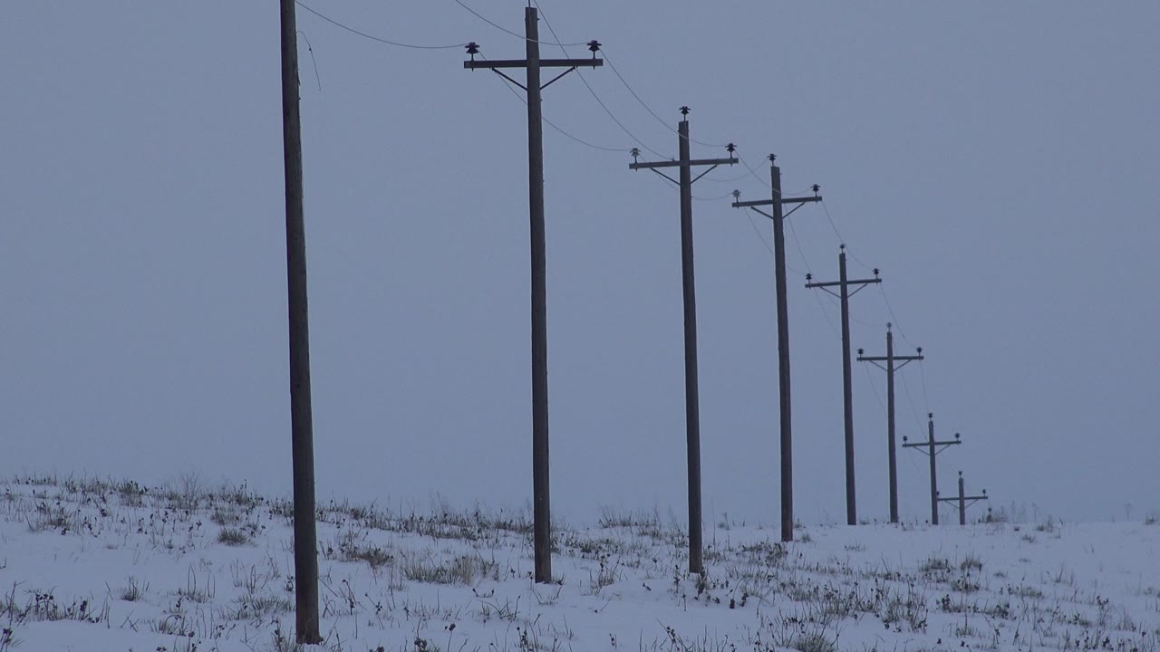 At 0:01, a tall foreground pole near the left side leads the eye to smaller utility poles stretching across the snow in Arvada, Colorado, with no visible people.