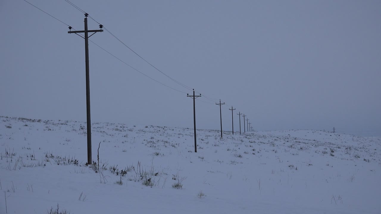 Snow-covered field with utility poles in gray blizzard haze.
