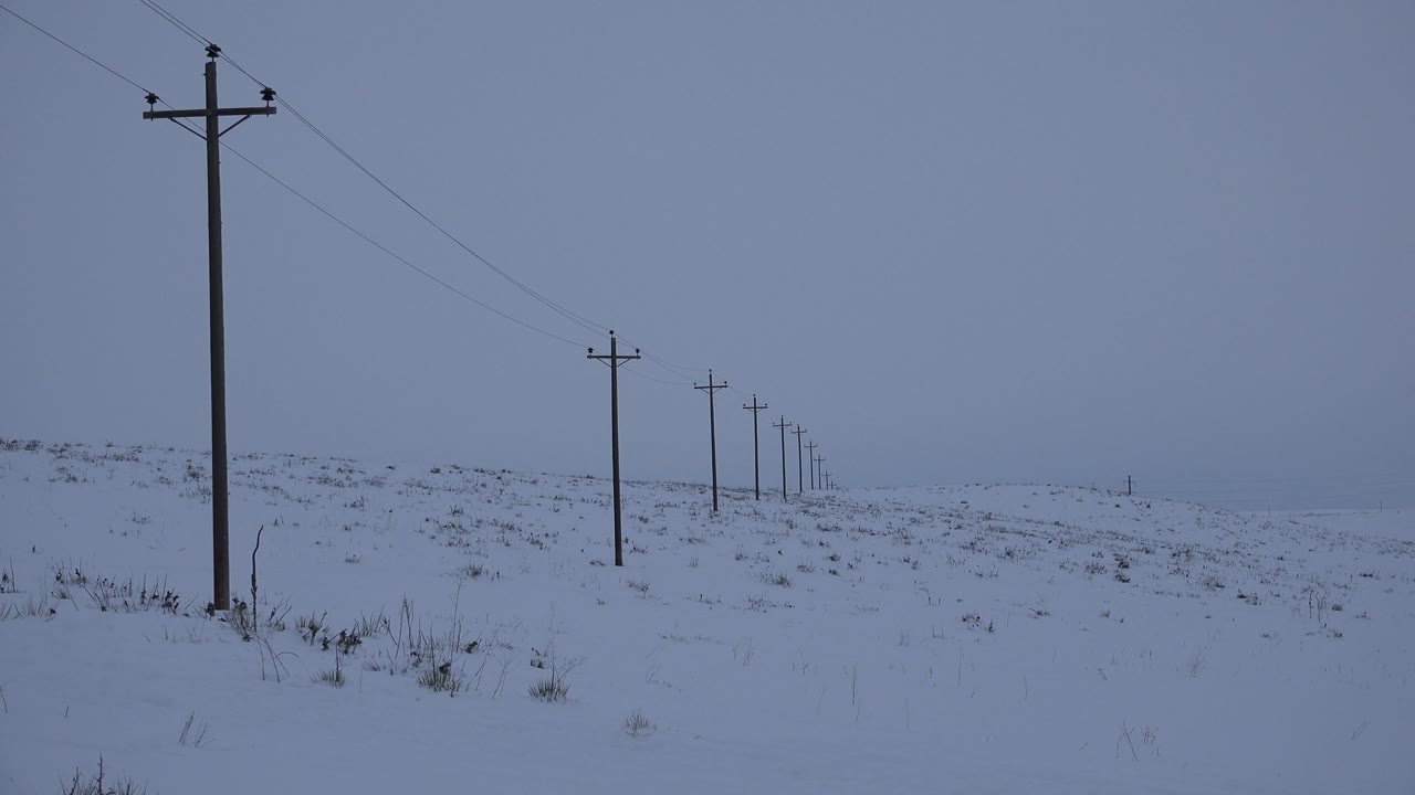 Utility poles and wires in a snow-covered field beneath an overcast sky.