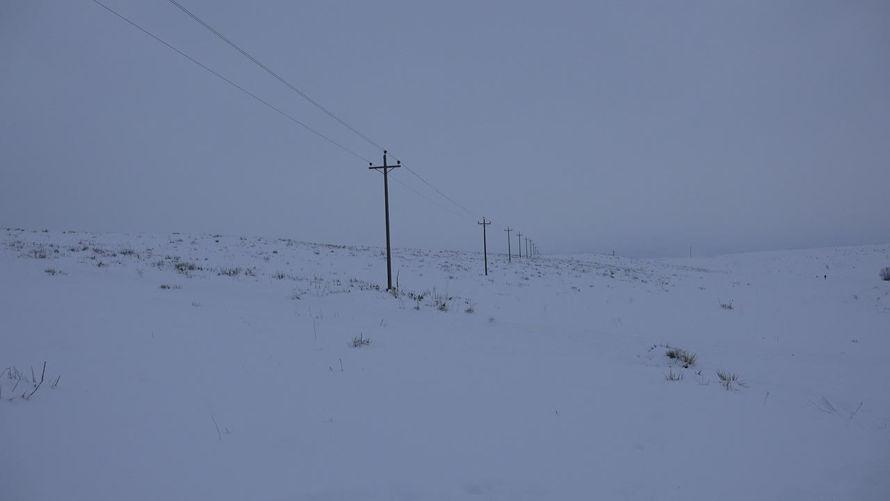 Opening frame of a snow-covered roadside in Arvada, Colorado, with utility poles receding into the blue-gray distance and no visible people.
