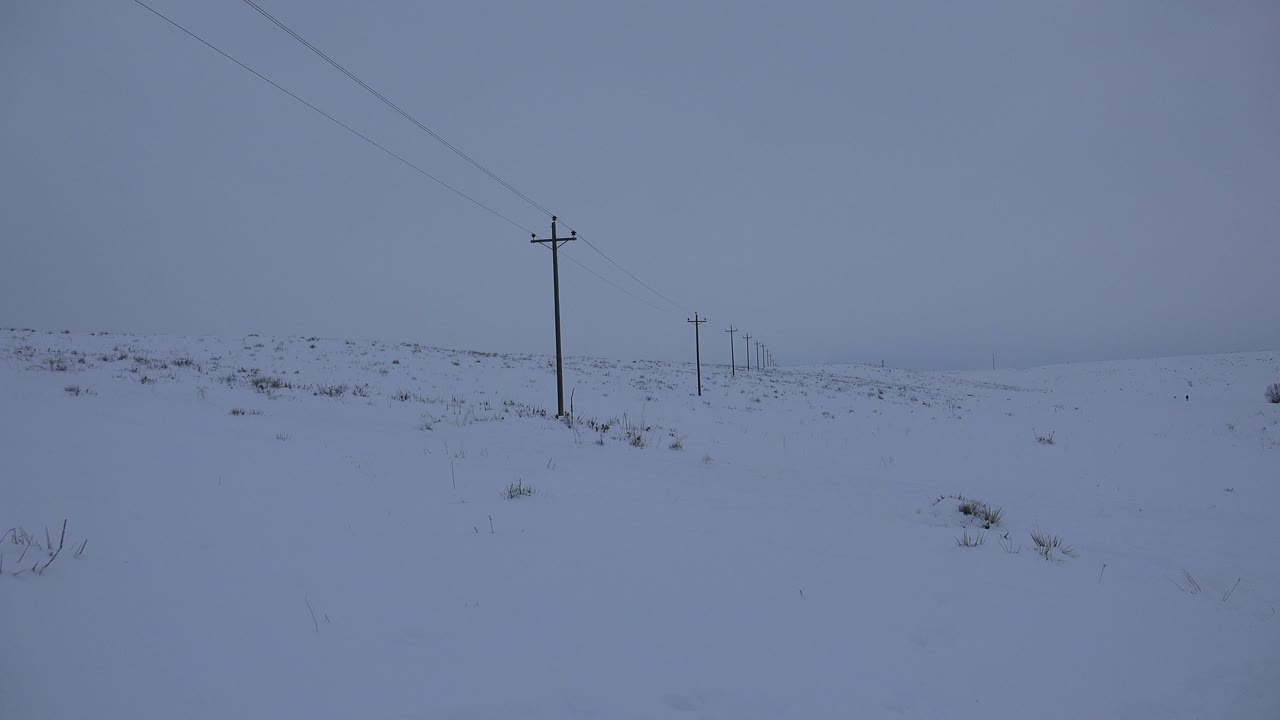 A snow-covered field beside the road in Arvada, Colorado shows utility poles, faint overhead wires, scattered scrub, and no visible people.
