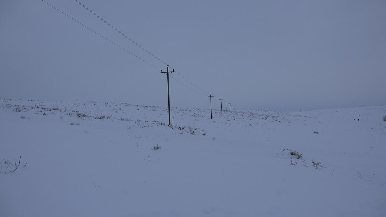 Utility poles crossing a snowy open landscape