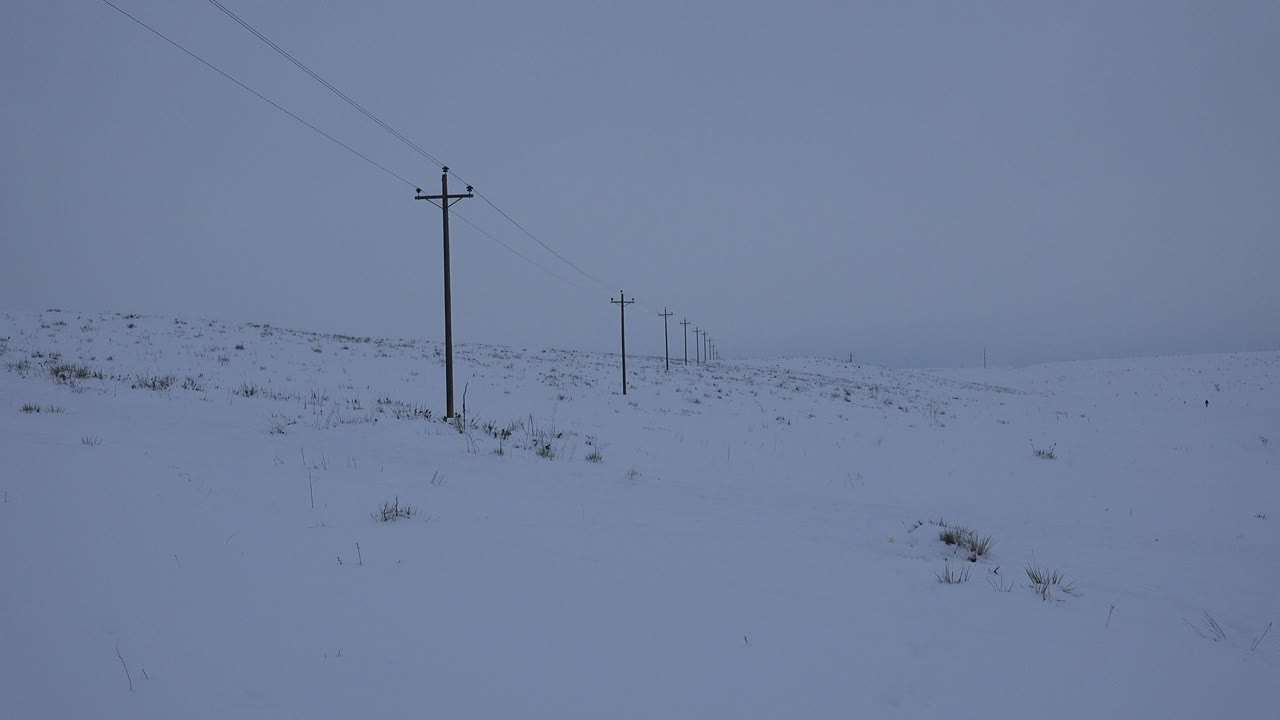 Opening frame of an Arvada, Colorado snowfield with a tall foreground telephone pole, faint power lines, distant poles, and no visible people.
