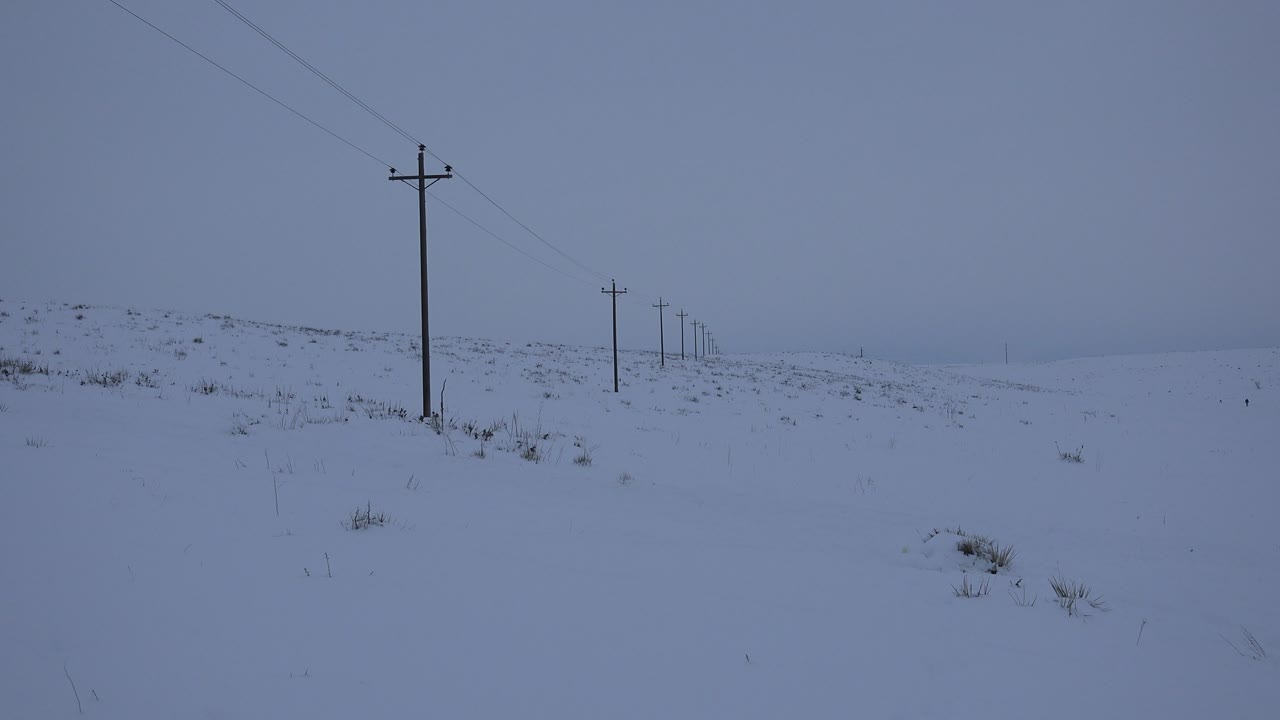 Dark utility pole standing over a pale snowfield.