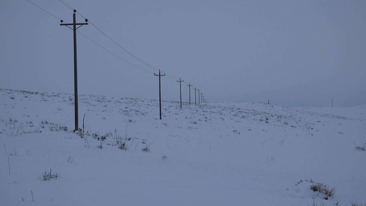 A snowy open field in Arvada, Colorado shows dark utility poles receding into blue-gray storm haze, with no visible people.