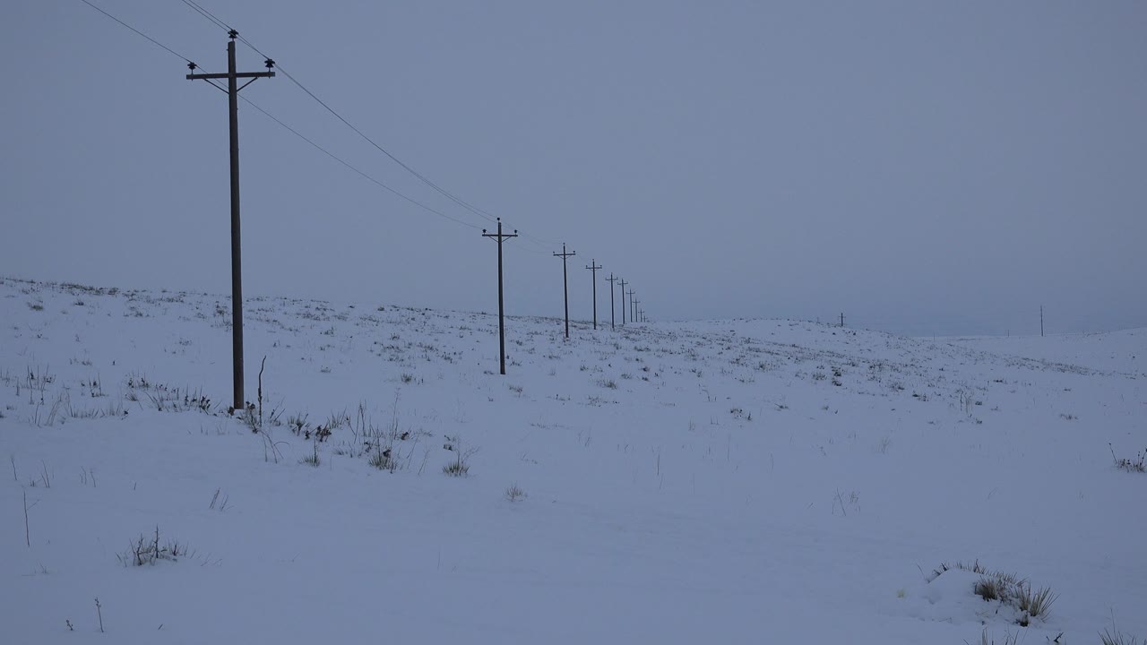 A line of utility poles stands across a snow-covered Arvada field, with the foreground pole near the left side and no visible people.