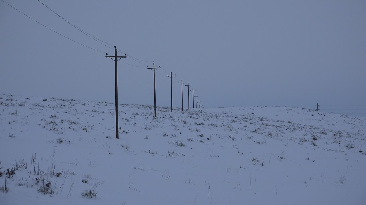 Snow-covered open ground in Arvada, Colorado with a row of telephone poles running into the distance beneath a blue-gray sky, no visible people.