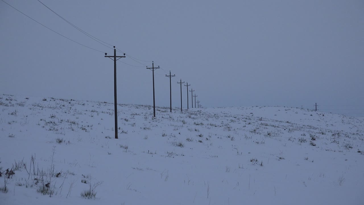 A foreground utility pole stands left of center in an Arvada snowfield, with smaller poles trailing toward the horizon and no visible people.