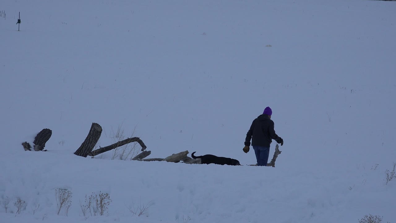 A bundled man walks through a snow-covered field in Arvada, Colorado, with broken fence posts and a dark dog-like shape low in the snow nearby.