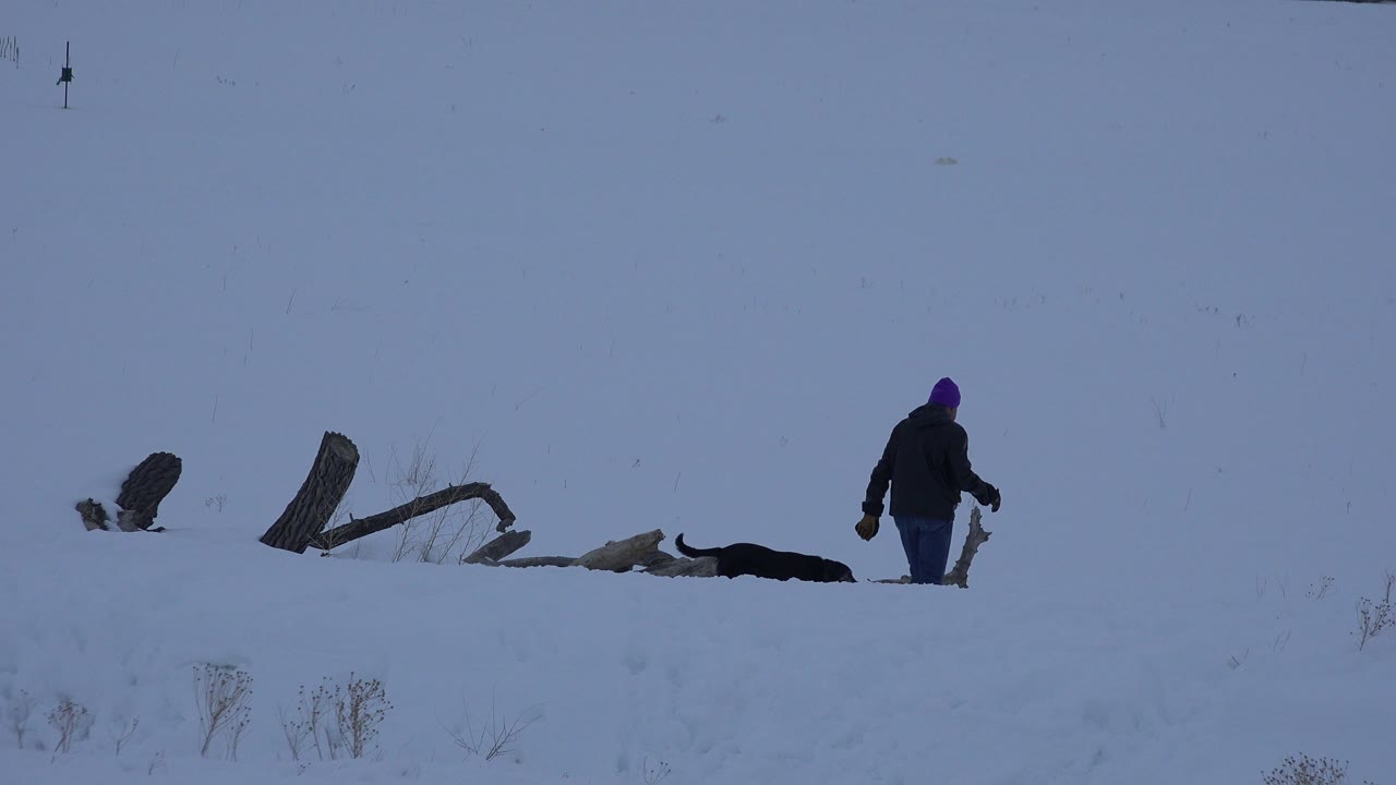 The man continues across the Arvada snow field, standing to the right of broken wooden posts while a dark low shape remains visible in the snow.