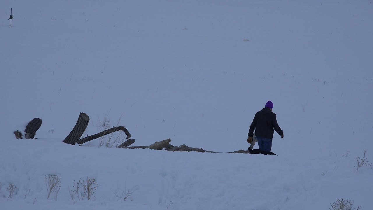Distant man walking at right edge of a snowy field.