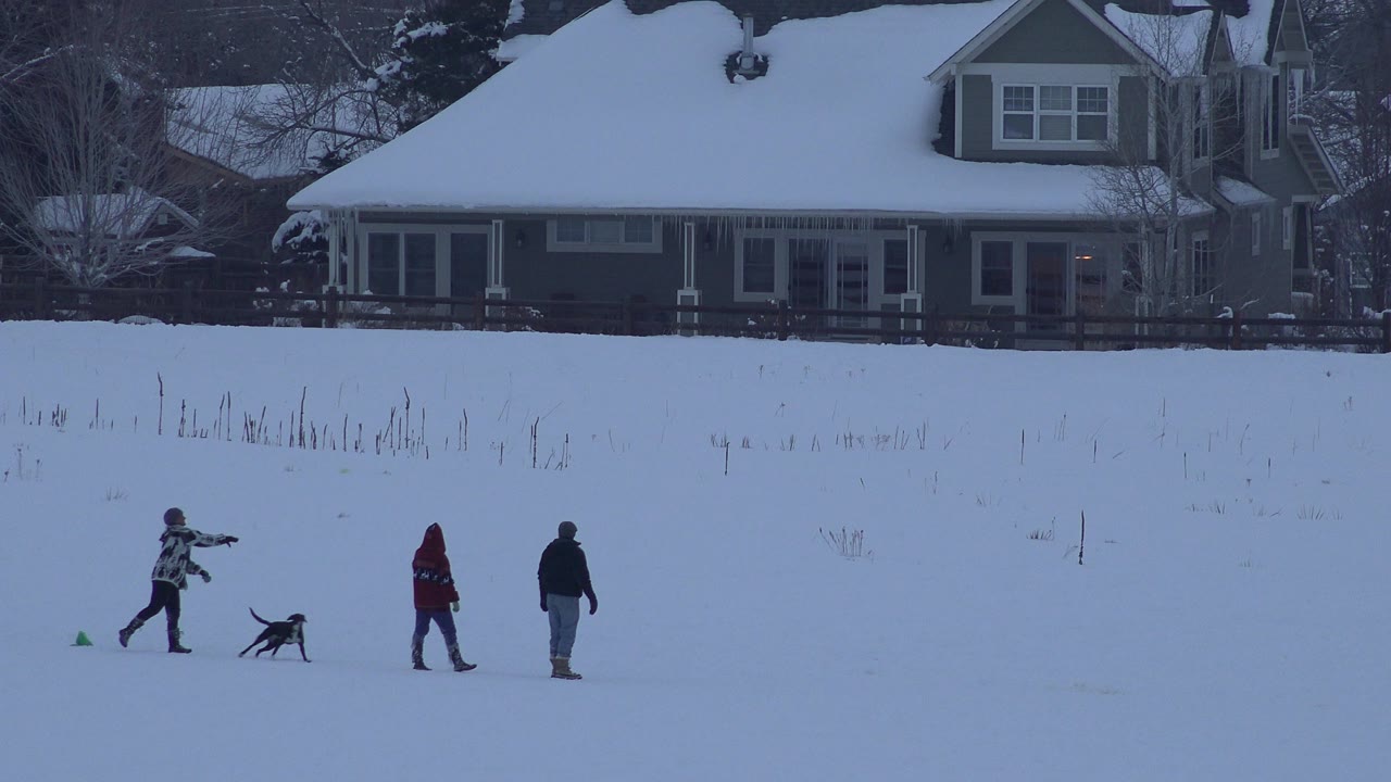 Three bundled people and a dog on a snowy residential street.