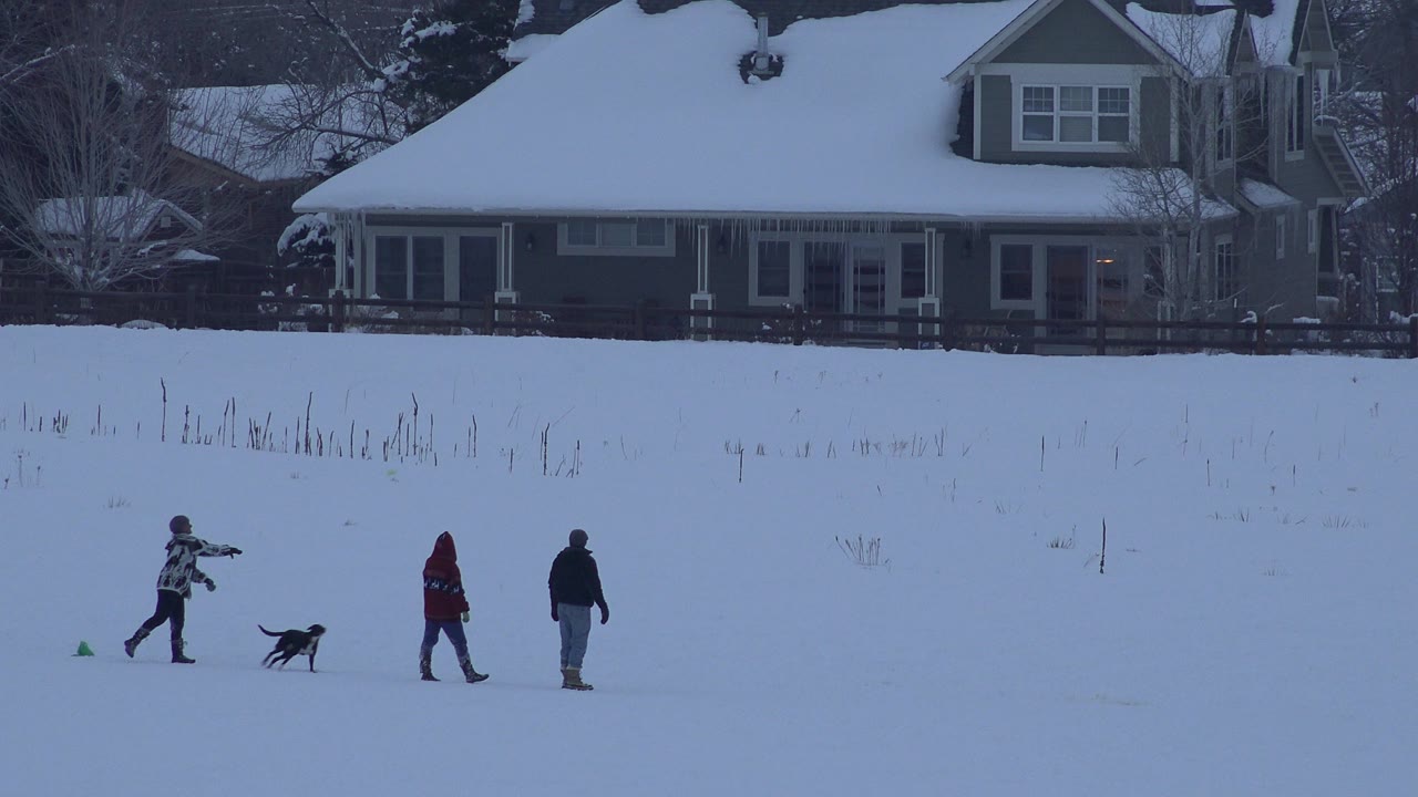 In Arvada, Colorado, one bundled person gestures toward the running dog while two other people stand nearby on the snowy residential ground.
