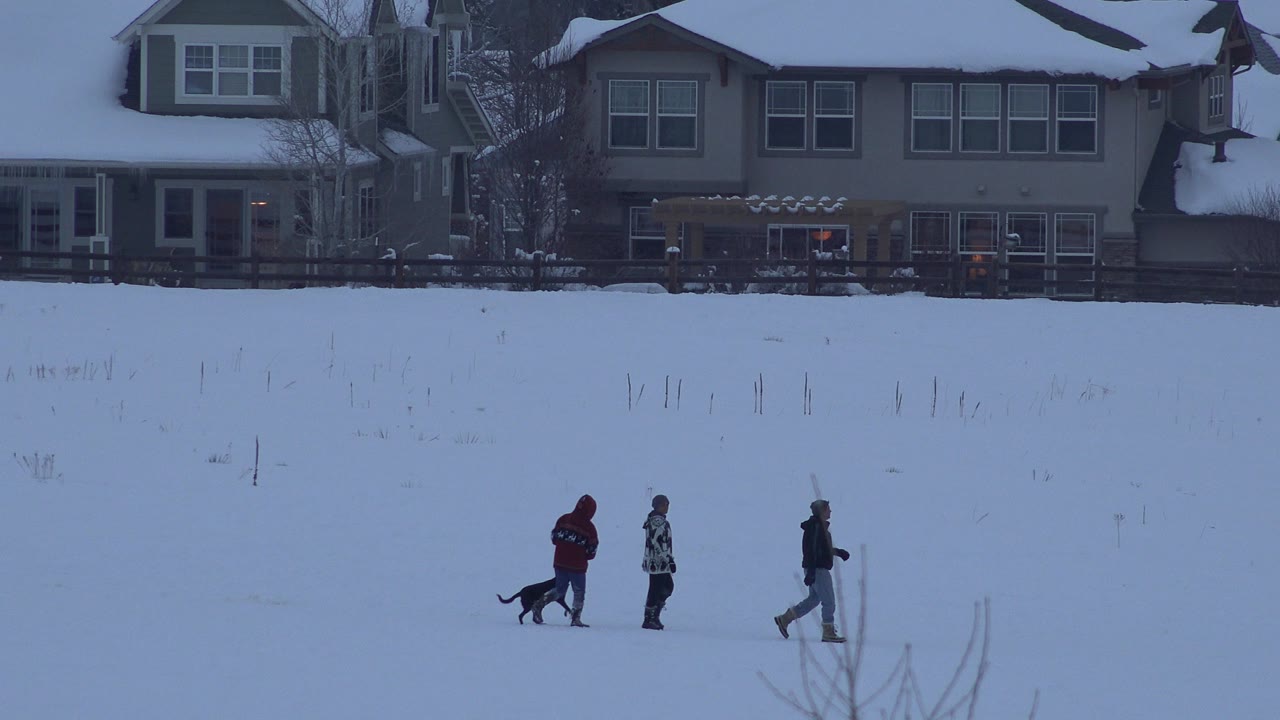 Three people and a dark dog move across a snowy field in Arvada, Colorado, with tan two-story houses and fenced yards behind them.