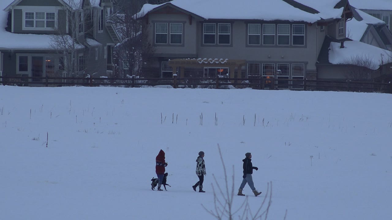 Three bundled walkers and dog spread out on snow with houses behind.
