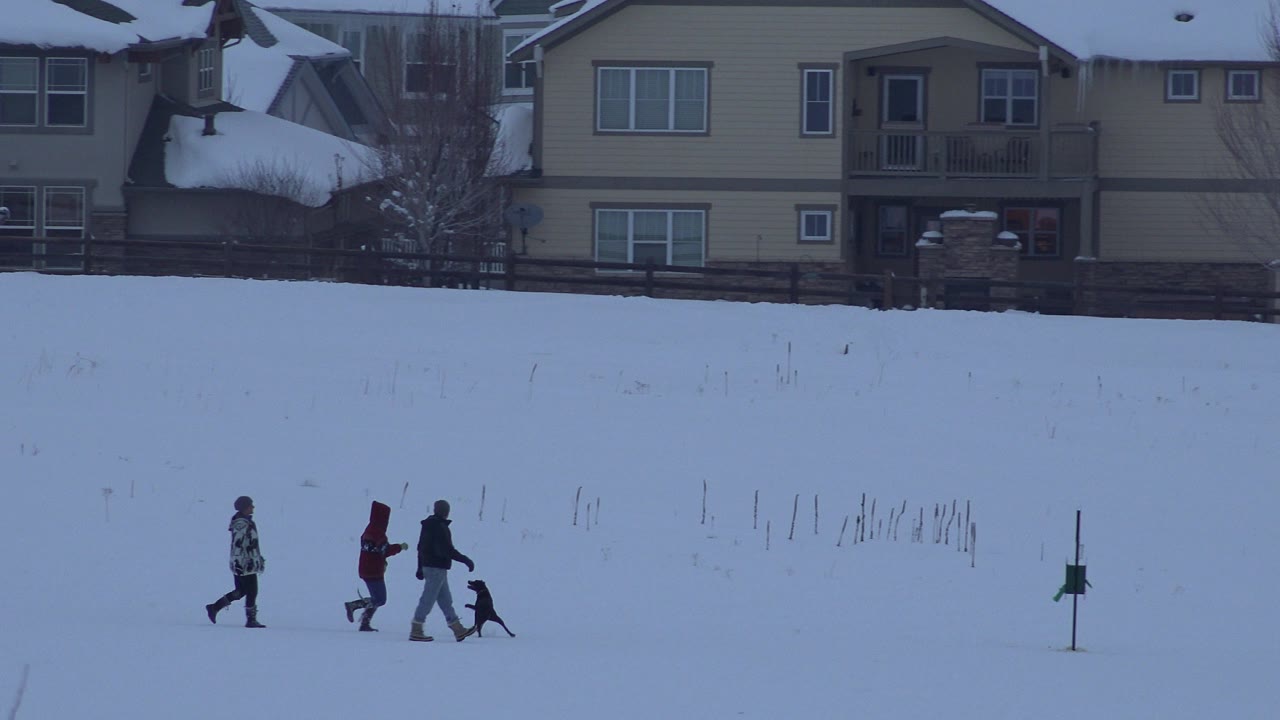 At the start of the Arvada, Colorado clip, three distant bundled walkers and a small dark dog move across a snow-covered residential area with townhomes behind them.