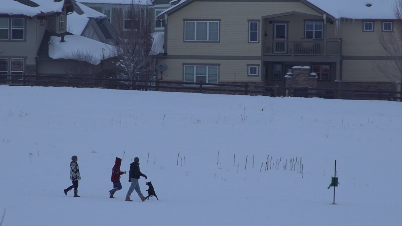 One second in, the three distant people continue walking through the snowy Arvada residential scene while the small dark dog stays near their path.