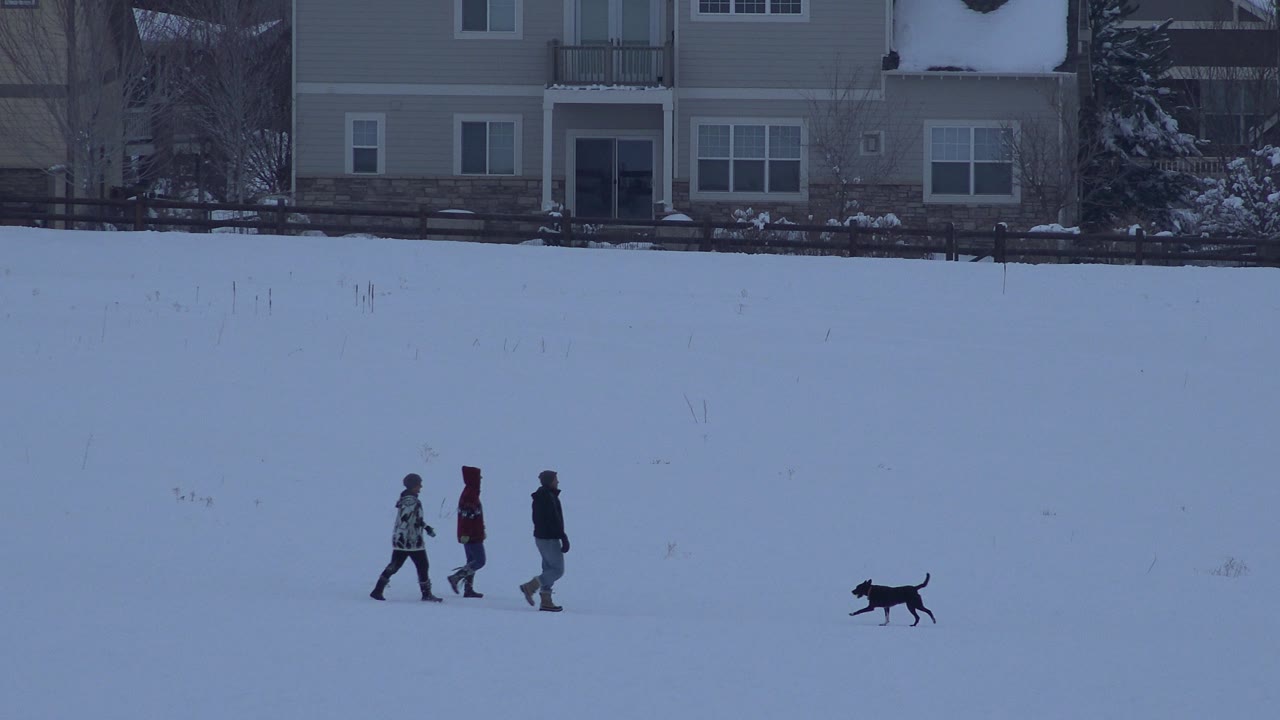 Dog approaches three people walking in a snowy field.