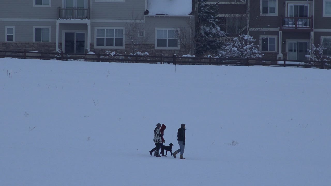 Two people and a black dog walking across a snowy field near homes.