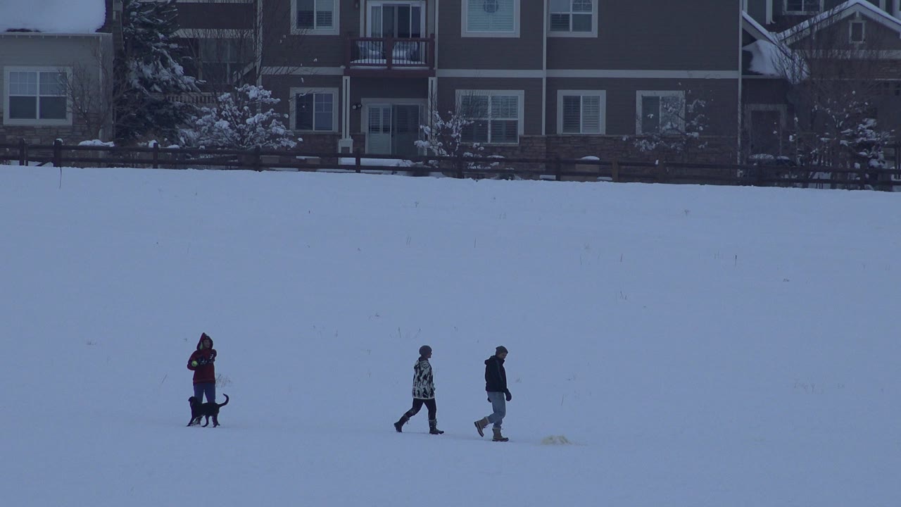 In Arvada, Colorado, a young boy in a red jacket, two other people, and a black dog are spread across a snowy yard with homes in the background.