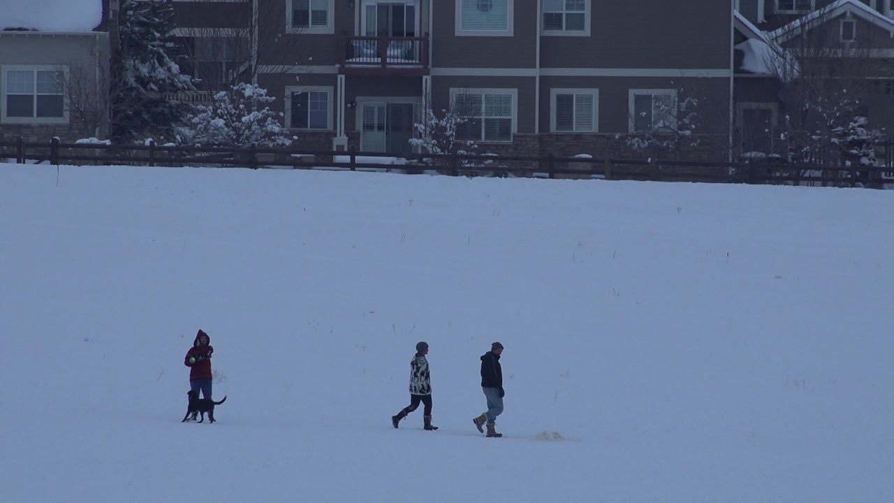 In Arvada, Colorado, the boy in a red jacket stands with a black dog while two people continue walking across the open snowfield near residential buildings.
