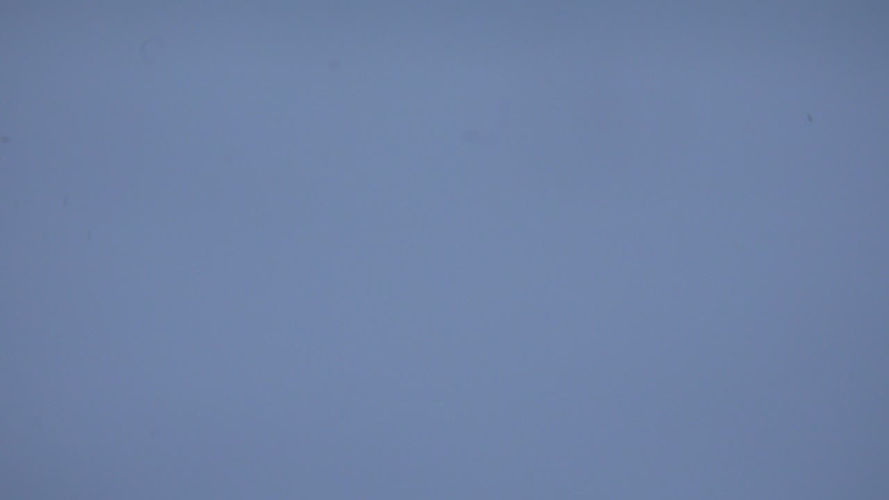 A wide view of blue-white snow in Arvada, Colorado, with faint surface tracks and no visible people.