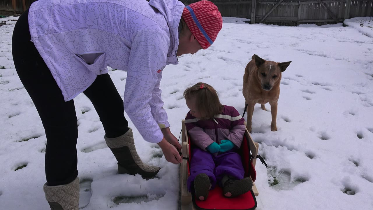 In Westminster, Colorado, an adult in a pale jacket bends near a small child seated on a red sled as a tan dog stands in the snowy fenced yard.