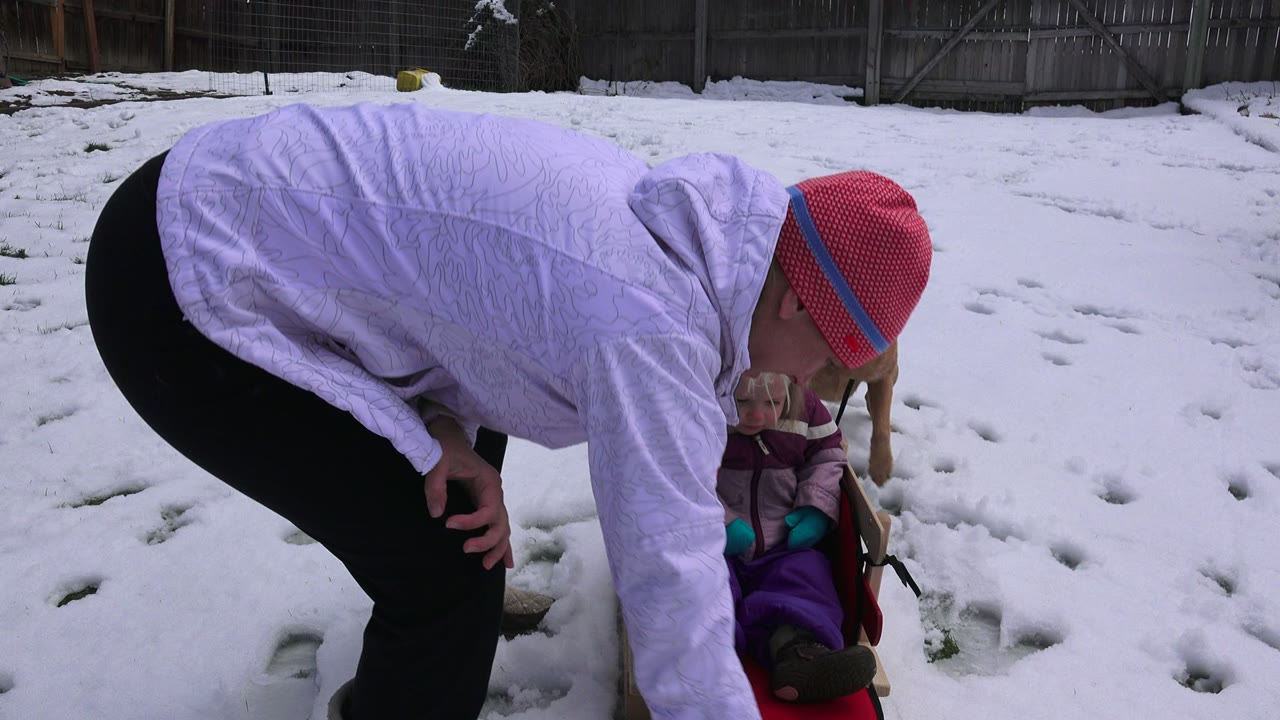 Adult bends over a child in a sled as a dog stands nearby.