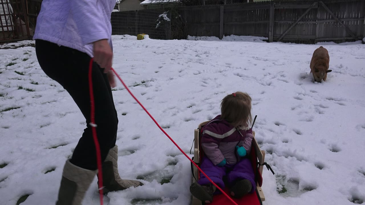 Adult pulling a child in a red sled across a snowy backyard.