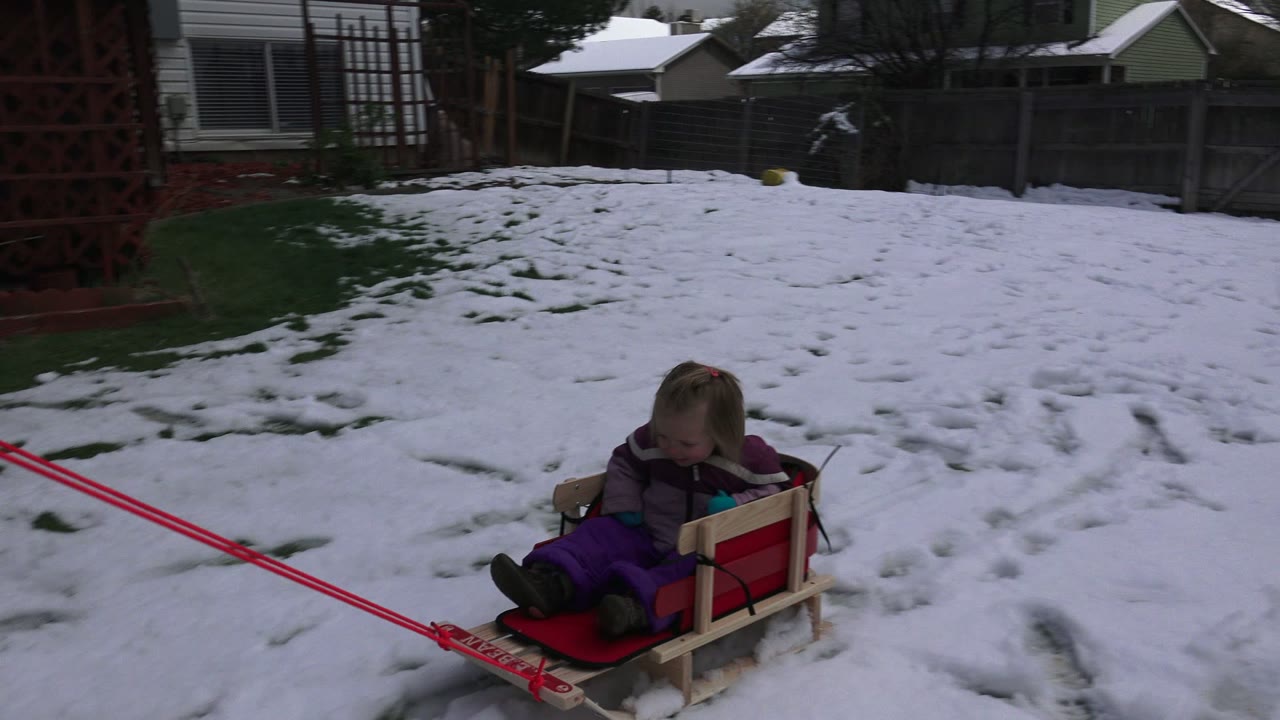 The toddler remains seated on the sled near the lower center of the Westminster, Colorado backyard as the red ropes angle across the snow toward the camera side.