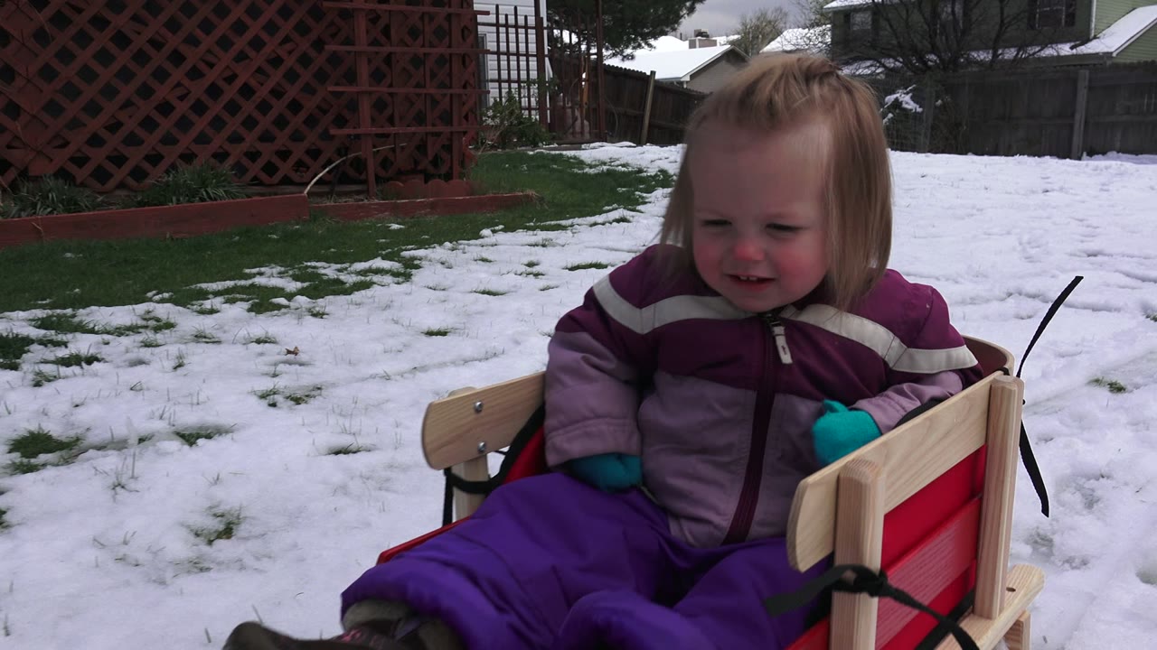 A toddler in purple winter clothes sits in a red sled on patchy snow in a Westminster, Colorado backyard, facing the camera with a red lattice fence behind her.