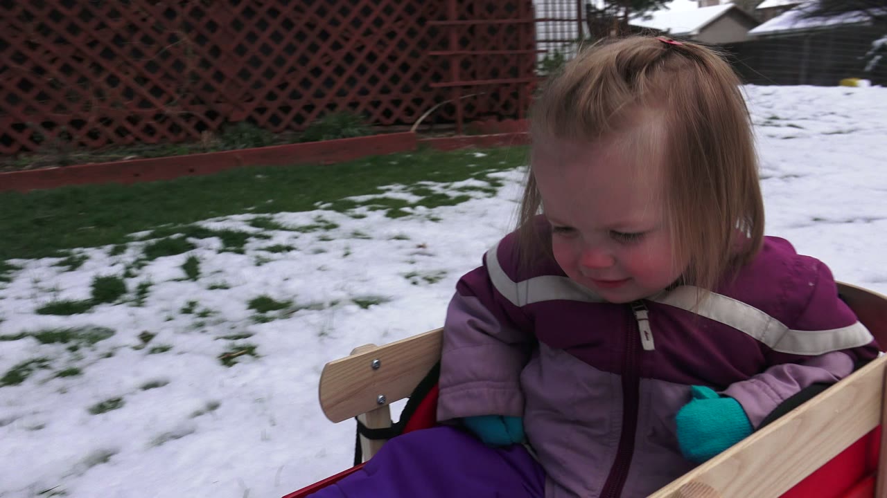 The toddler looks down from the red sled as snowy grass fills the yard behind her in Westminster, Colorado.