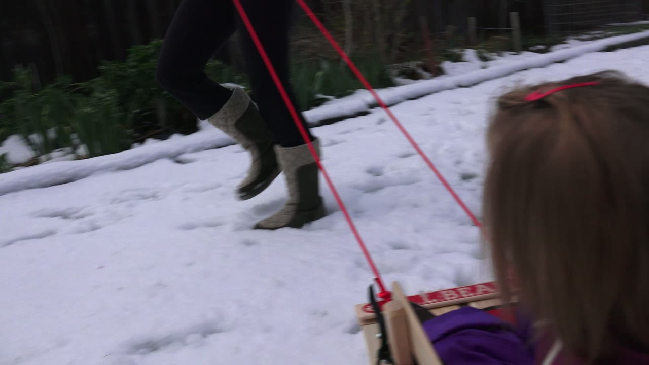 The child remains partly turned away in the red sled while red ropes lead toward an adult walking across the snowy Westminster, Colorado yard.