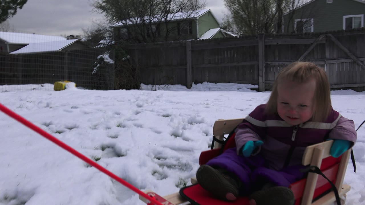 Young girl in a sled on snowy ground with red pull poles in front.