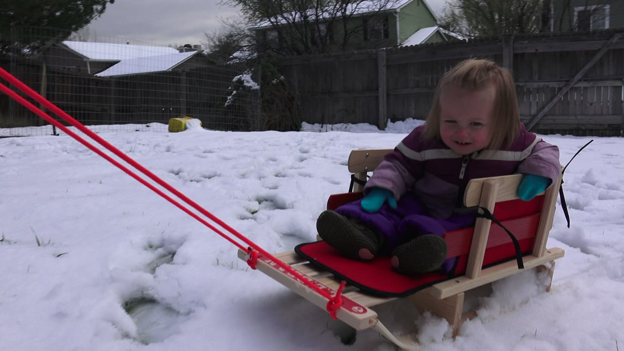 At 0:01, the smiling child is more centered in the sled in Westminster, Colorado, with the red pull poles angled across the snowy yard and a wooden fence and houses in the background.