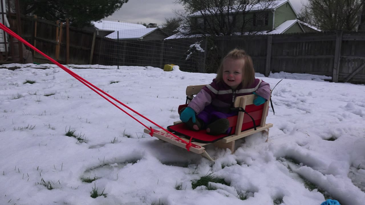 A young girl in winter clothing sits on a red wooden sled in a snowy Westminster, Colorado backyard, with red pull ropes crossing the foreground and fences behind her.
