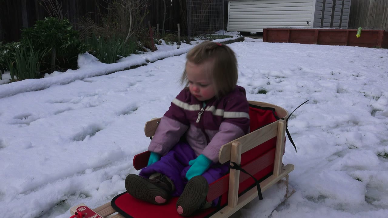 One second in, the girl sits more upright in the red sled, with her boots forward and the snowy Westminster, Colorado yard behind her.