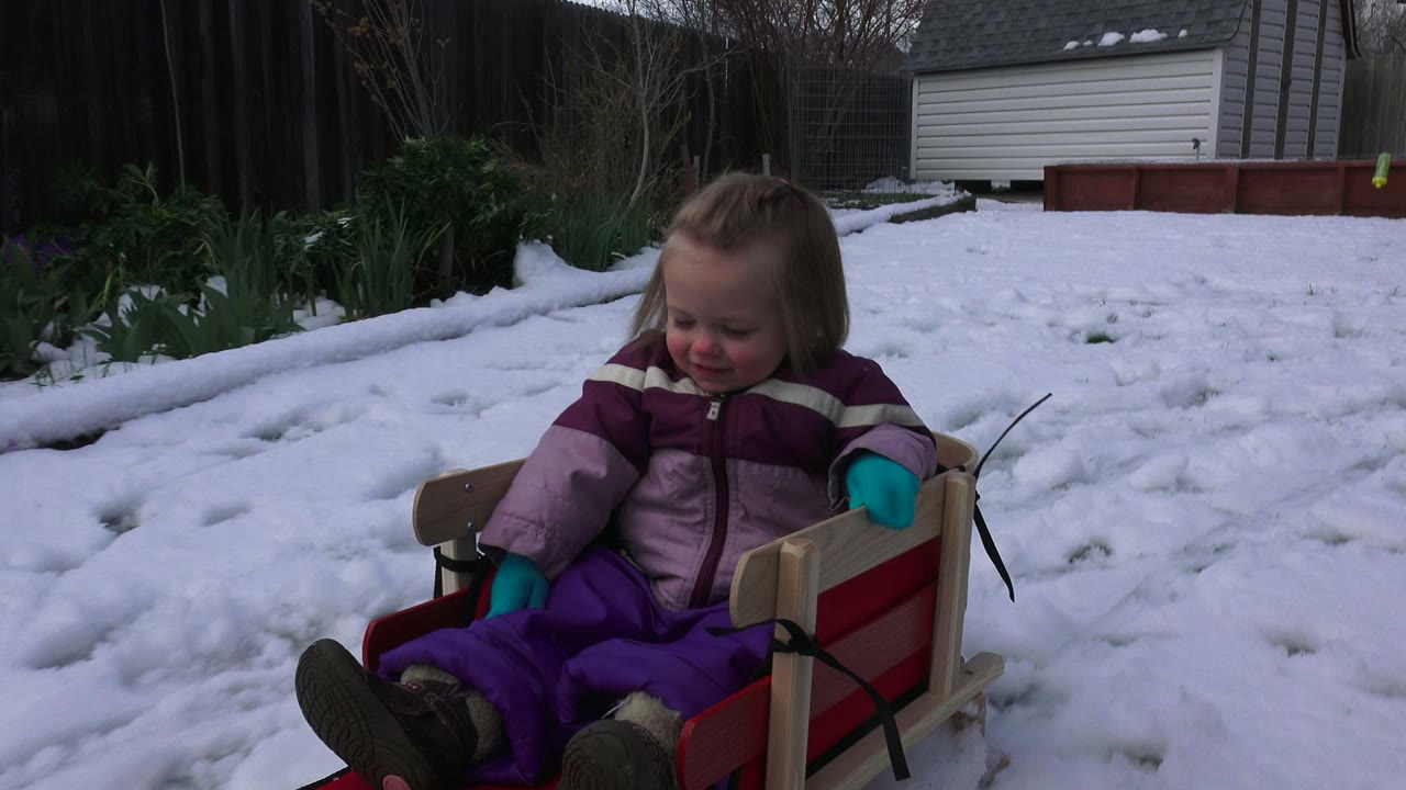 The child looks down from the red sled in the snowy Westminster backyard, with footprints and uneven patches of snow visible across the yard.