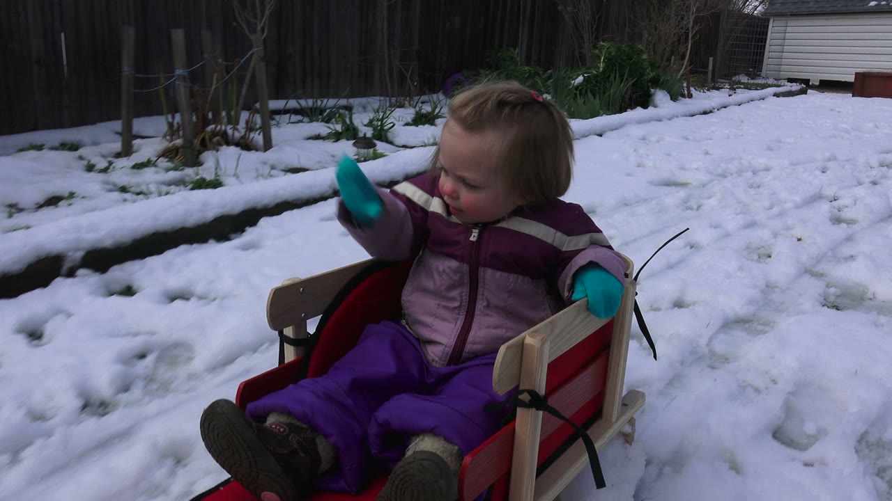 A toddler in a pink coat and purple snow pants sits in a red sled at the start of a snowy Westminster, Colorado backyard clip.