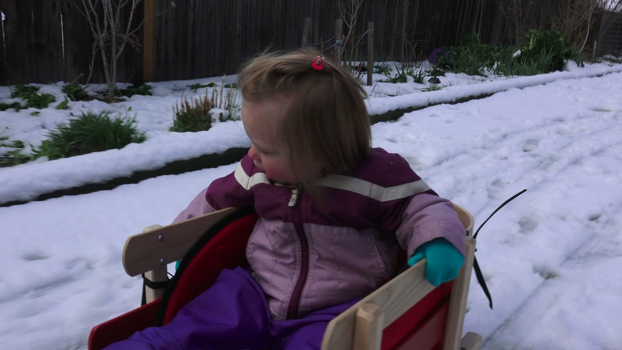 Toddler seated in sled with snowy yard behind.