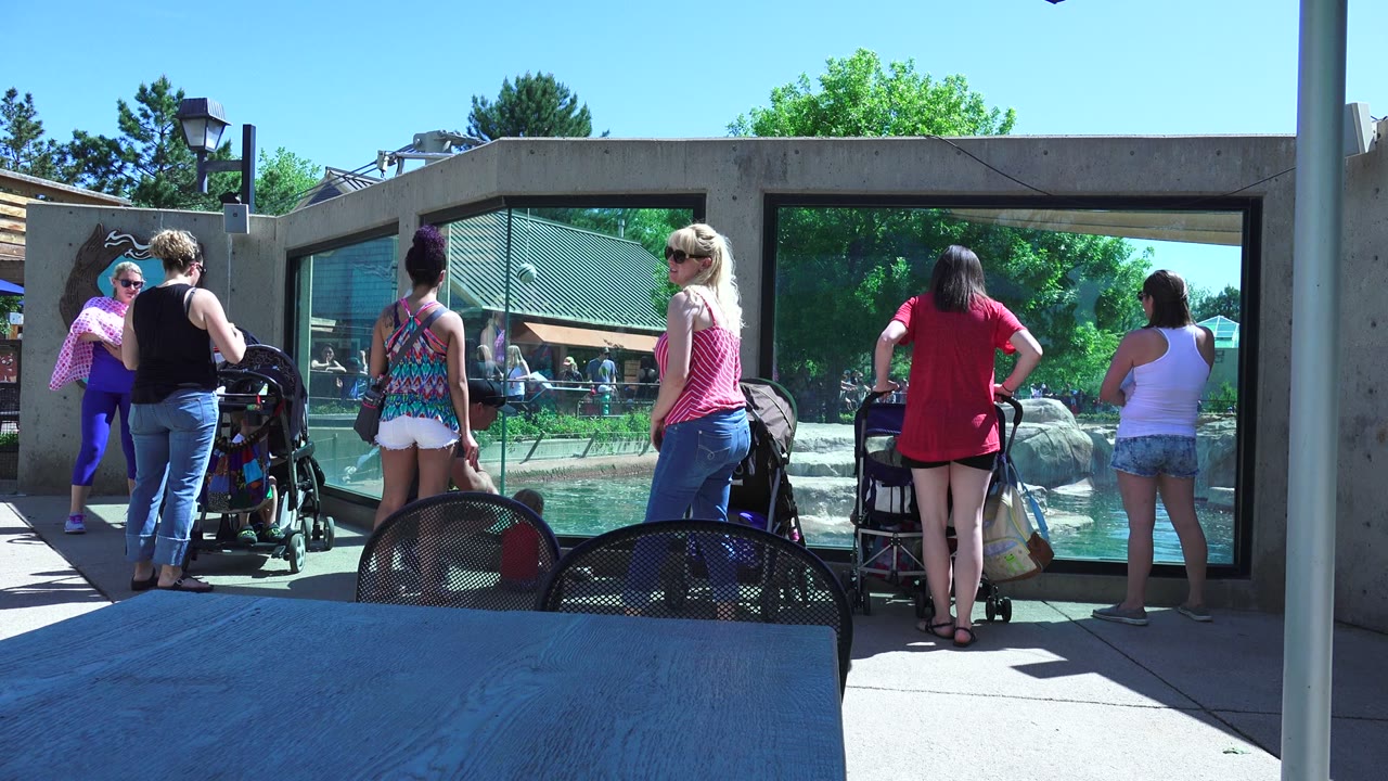 At 0:01 in Westminster, Colorado, the group remains at the glass pool barrier as a blonde woman in a striped top turns partly toward the camera near two strollers.