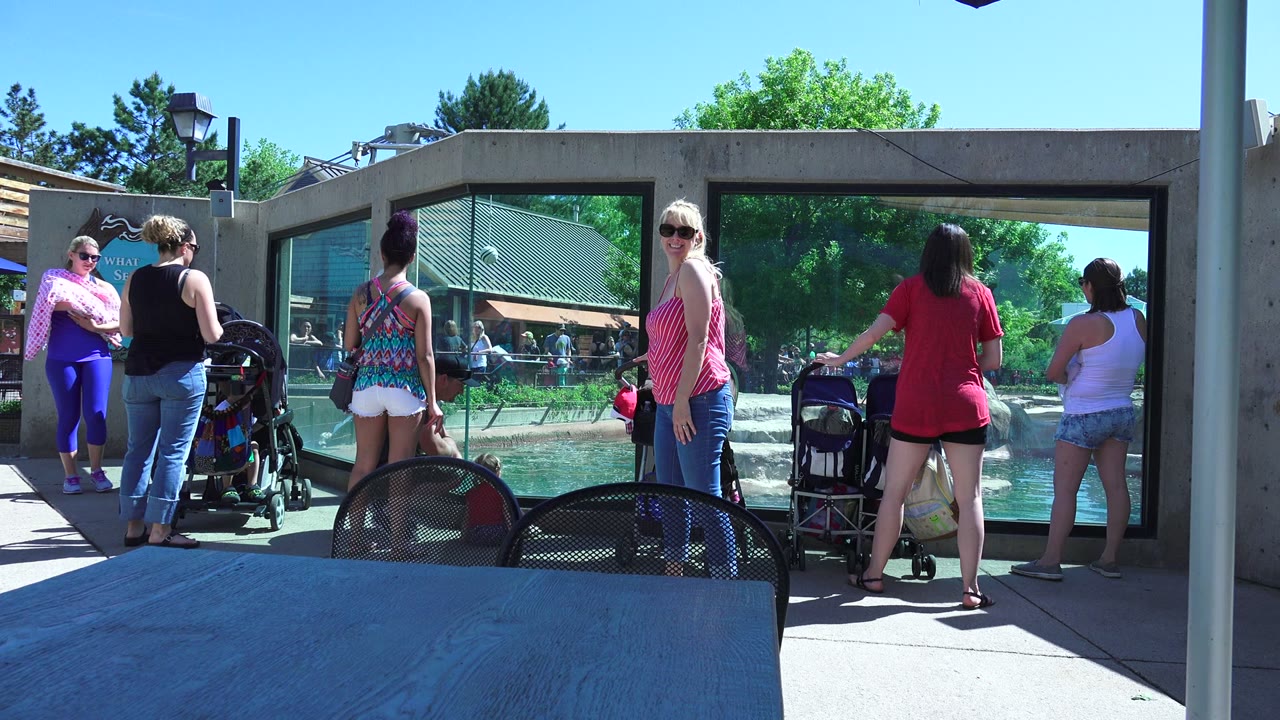 Adults and strollers line the pool viewing area.