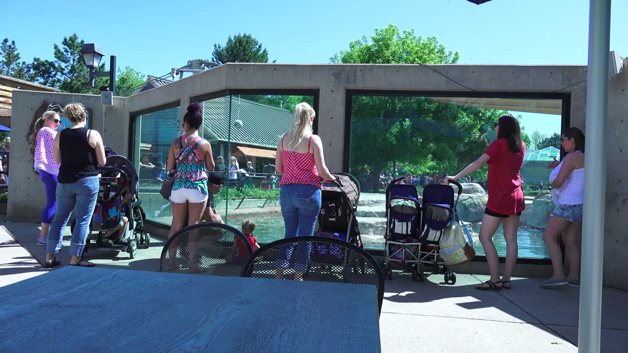 Adults and children with strollers at a zoo water exhibit.