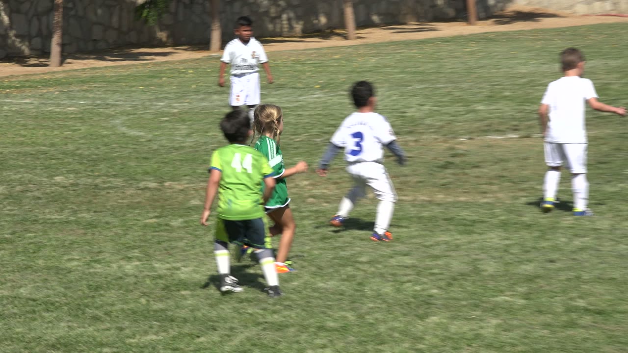 Children in green and white soccer uniforms chase the ball across a sunlit grass field in San Jose del Cabo, Mexico.