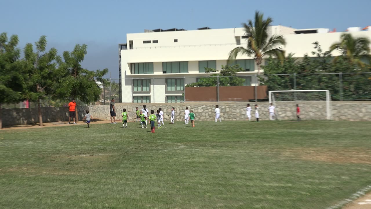 Wide sideline view of children playing soccer on a grass field in San Jose del Cabo, Mexico, with a goal, palms, a trainer, and buildings beyond the fence.