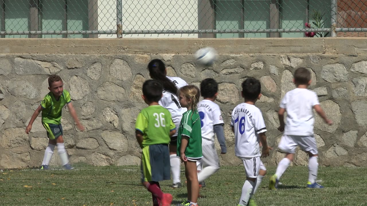 Children in green and white uniforms playing soccer on a grass field.