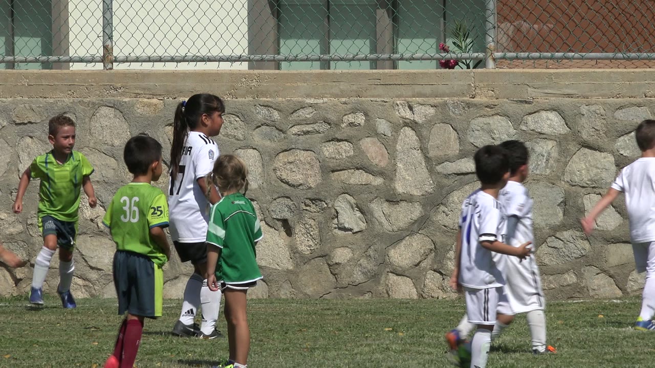 Several children run and turn during youth soccer play in San Jose Del Cabo, Mexico, with green and white jerseys grouped in front of a stone retaining wall.