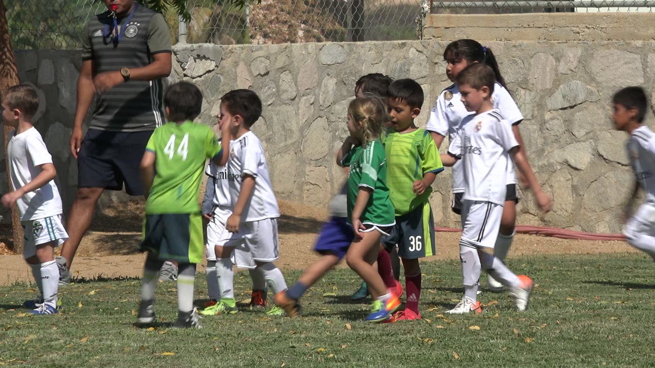 Children in white and green soccer uniforms walking on a grass field with a coach nearby.