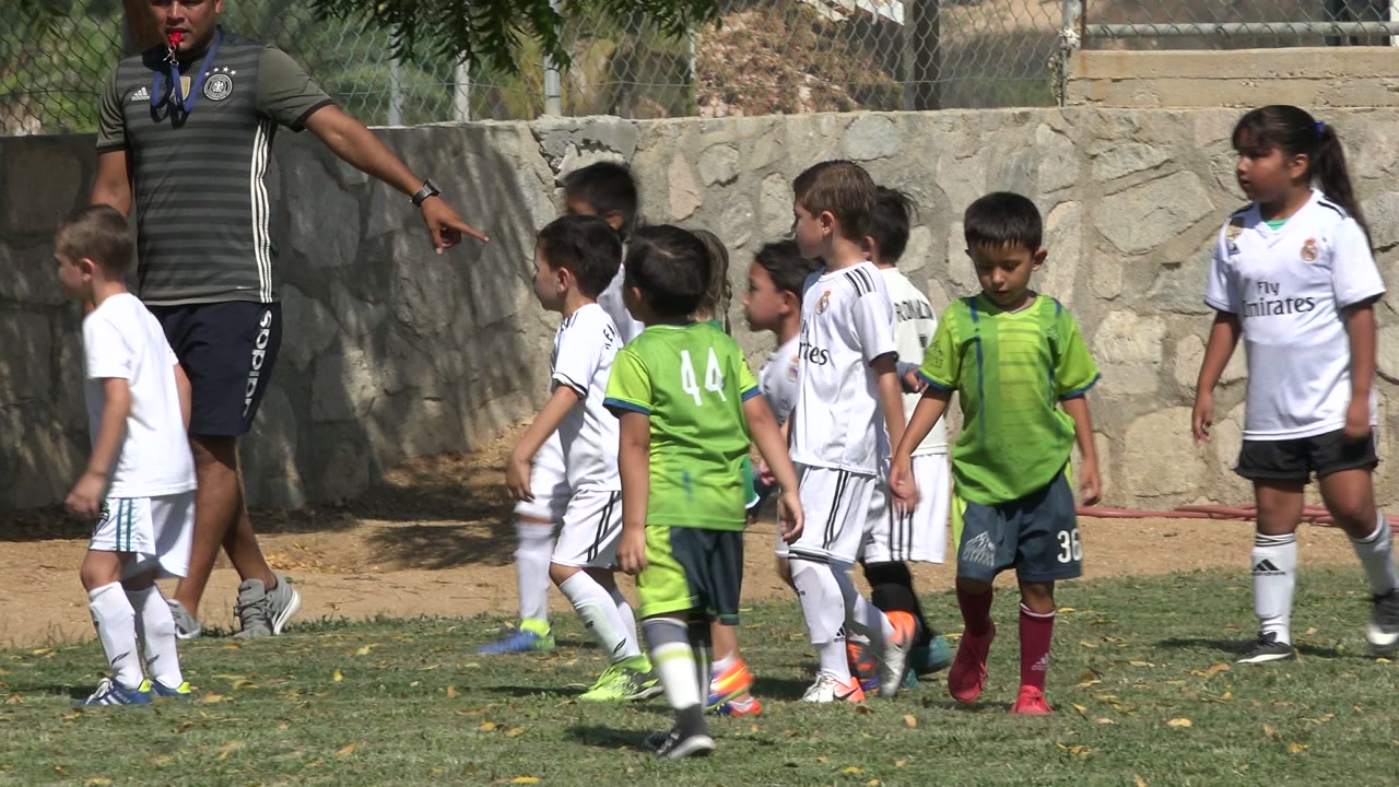 Young players in white and green kits move across the grass in San Jose del Cabo, Mexico, while a coach points from the sideline and the stone wall remains in the background.