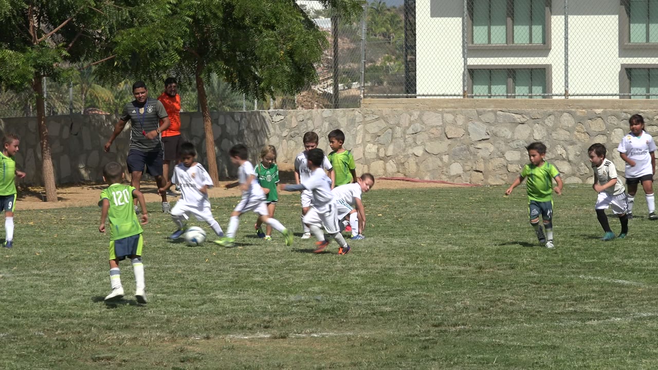 Children in green and white soccer uniforms cluster around a ball on a grass field.